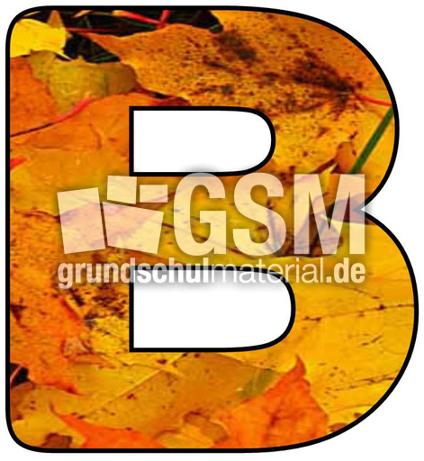 Herbstbuchstabe-2-B.jpg